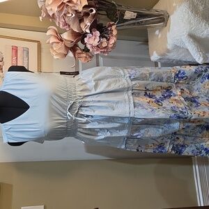 Nwt XL& LARGE Rachel Zoe Blue Floral Maxi Dress With Pockets  Pull On